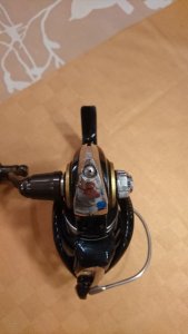 DSC_8820.JPG