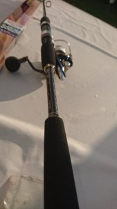 DSC_8694.JPG