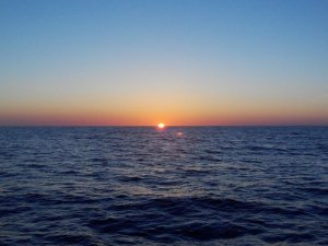 Gule Rev NAFFEN Tour 2016 002.JPG