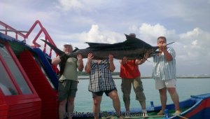 IMAG0036 (Kopie).jpg