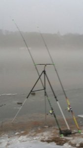 IMG-20170218-WA0002.jpg IMG-20170218-WA0002.jpg