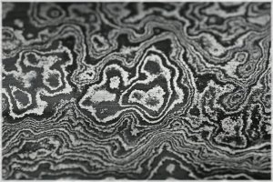 IMG_4729.comp.jpg IMG_4729.comp.jpg