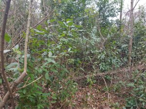 SLO Febuar 2017 086.jpg