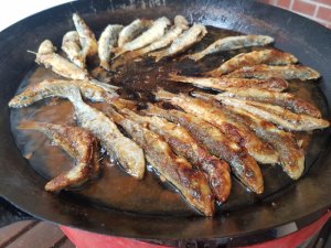 SLO Febuar 2017 032.jpg