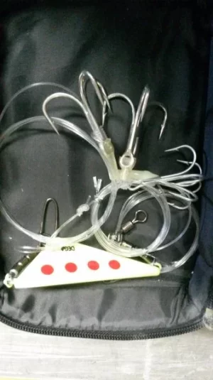 Nachläufer ganzer Fisch.webp