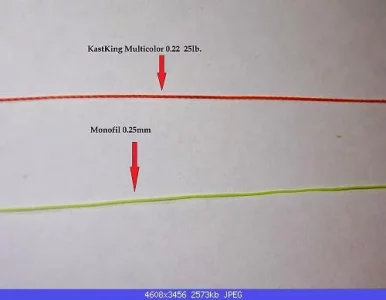 Kastking 0,25 lb.webp