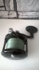 WP_20170302_12_54_11_Pro.jpg