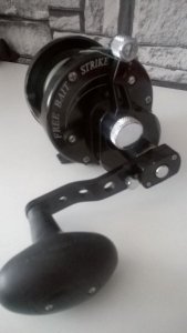WP_20170302_12_54_24_Pro.jpg