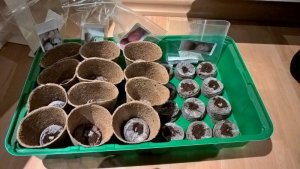 IMG-20170315-WA0002.jpg IMG-20170315-WA0002.jpg