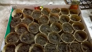 WP_20170316_18_57_17_Pro.jpg WP_20170316_18_57_17_Pro.jpg