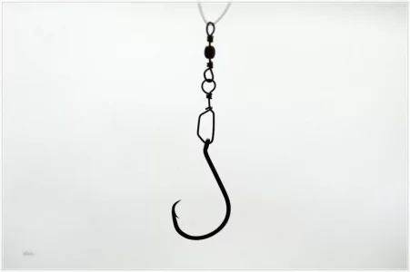 IMG_4820.comp.webp IMG_4820.comp.webp