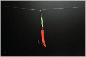 IMG_4802.comp.jpg IMG_4802.comp.jpg