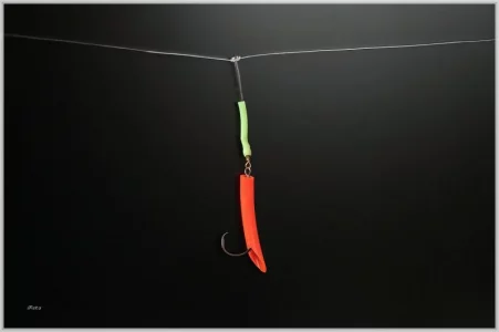 IMG_4802.comp.webp IMG_4802.comp.webp