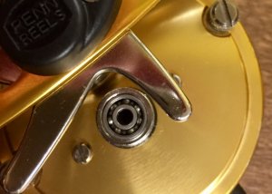 IMG_2520.JPG IMG_2520.JPG