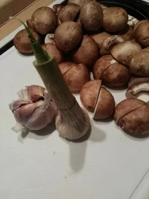 IMG_20170318_185040.webp IMG_20170318_185040.webp