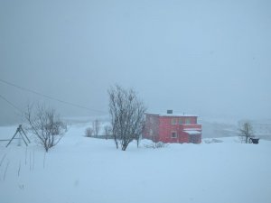 IMG_20170319_104224.jpg