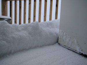 IMG_20170319_133131.jpg