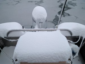 IMG_20170319_140416.jpg