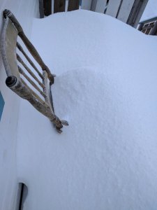 IMG_20170319_164536.jpg