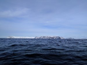 IMG_20170320_120711.jpg