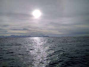 IMG_20170320_120754.jpg