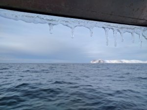 IMG_20170320_155024.jpg