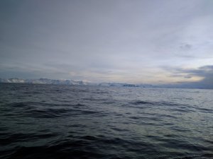 IMG_20170320_161725.jpg