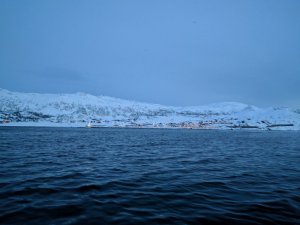 IMG_20170320_183415.jpg