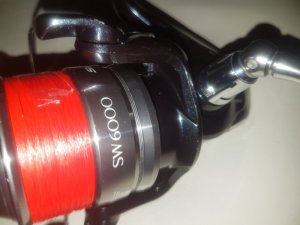 20170321_183126.jpg
