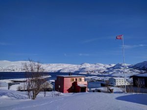IMG_20170321_095529.jpg