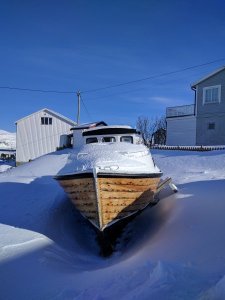 IMG_20170321_103825.jpg