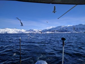 IMG_20170321_105927.jpg
