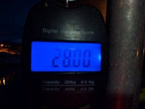 IMG_20170322_191556.jpg