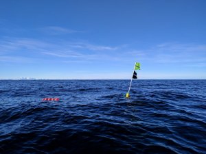 IMG_20170322_095307.jpg