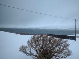 IMG_20170323_101620.jpg