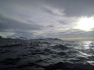 IMG_20170324_153158.jpg