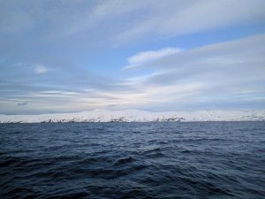 IMG_20170324_161127.jpg