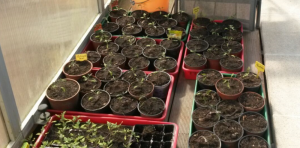 upload_2017-3-26_23-50-30.png upload_2017-3-26_23-50-30.png