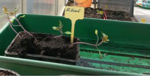 upload_2017-3-26_23-51-36.png upload_2017-3-26_23-51-36.png