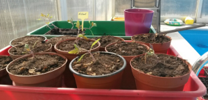 upload_2017-3-26_23-52-52.png upload_2017-3-26_23-52-52.png