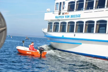 0000_Hering_2017_03_28 (18).webp