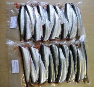 0000_Hering_2017_03_28 (37).webp