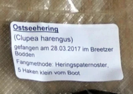 0000_Hering_2017_03_28 (38).webp