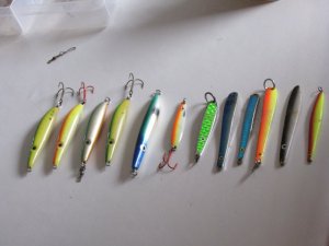 IMG_3041.JPG