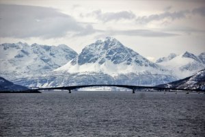 IMG_5011.JPG