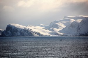 IMG_5483-.jpg