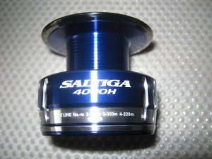 saltiga5.JPG