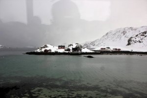 IMG_5910.JPG