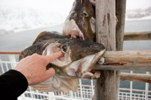 IMG_6964.JPG