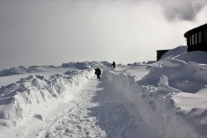 IMG_6300.JPG